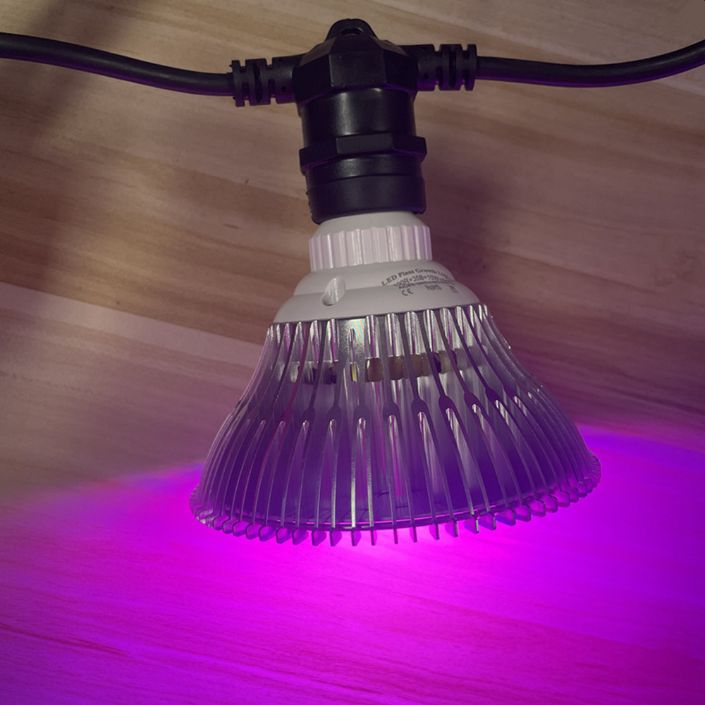 10M Cable LED String Commercia - Outdoor Lighting Sconce ulasan dan harga