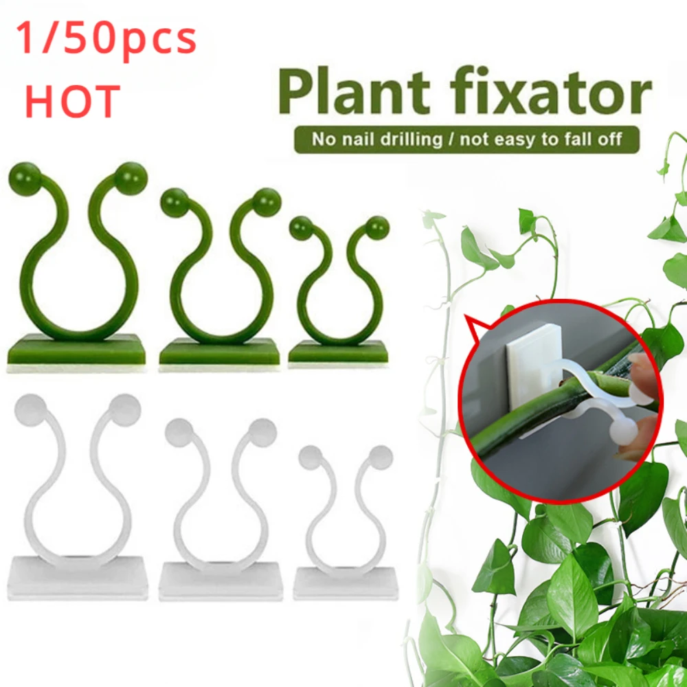 1/30/50Pcs For Garden Accsesor - Outdoor Lighting Sconce ulasan dan harga